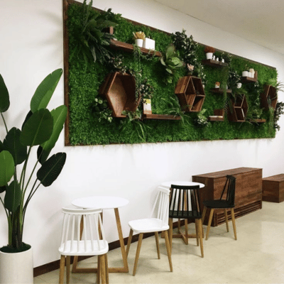 Moss Wall Accents