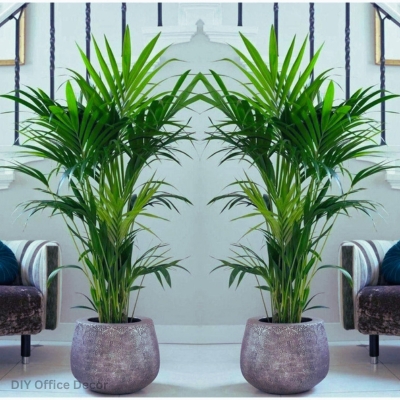 Office Plants for Low Light : Areca Palm (Arecaceae) - DIY Office Decor